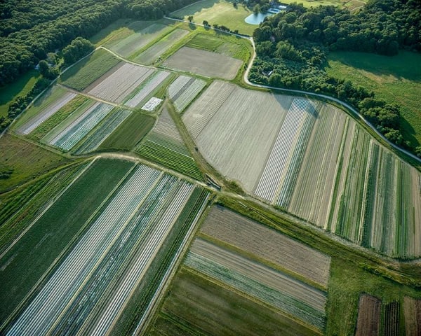Michael Light, Northwest Across 100 Acres Preserved by Deborah Ann Light, Amagansett, 2016