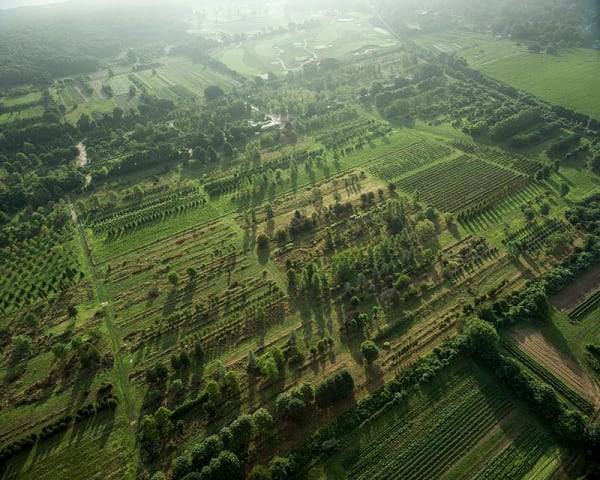 Michael Light, Southeast to Quail Hill Farm, Amagansett, 2016