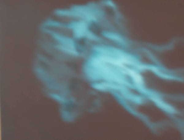 Jill Musnicki, Swimming Jelly 1, 2005