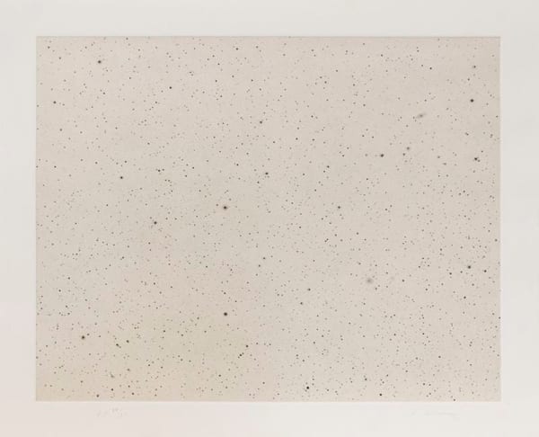 Vija Celmins, Inside Print from The Stars (short), 2005