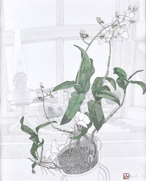 Ron Sandford, Orchids