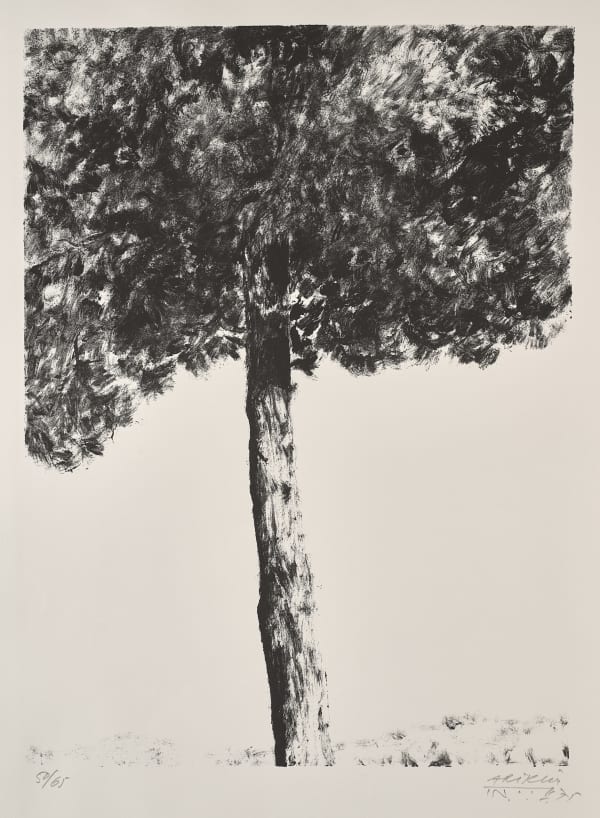 Avigdor Arikha, Pine tree, 1975