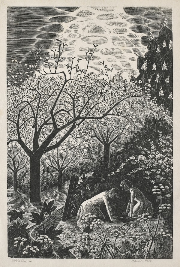 Monica Poole, Apple Tree, 1961