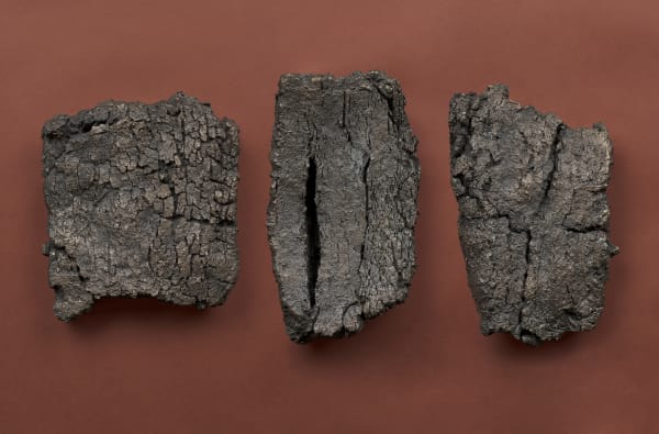Shaun Fraser Soil Immemorial, 2017 bronze triptych Left to right: 25 x 22 x 7 cm 30 x 18 x 6 cm 32 x 19 x 6 cm