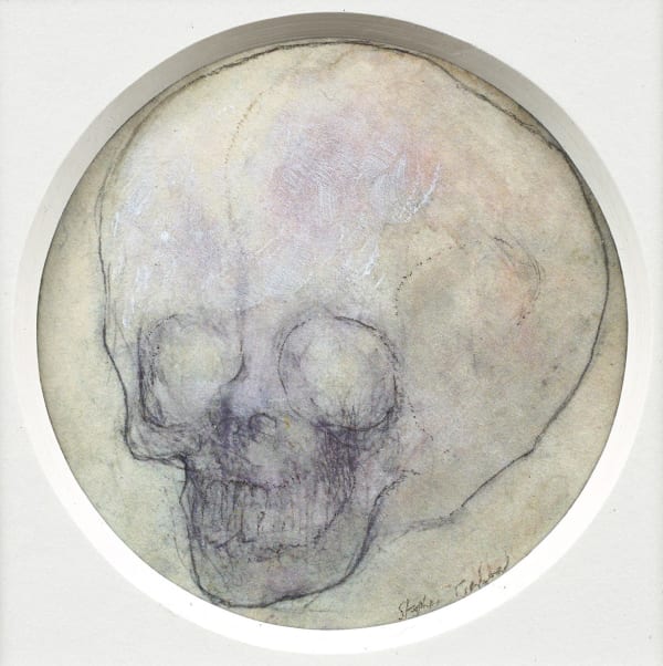 Steve Goddard, Skull II, 2011