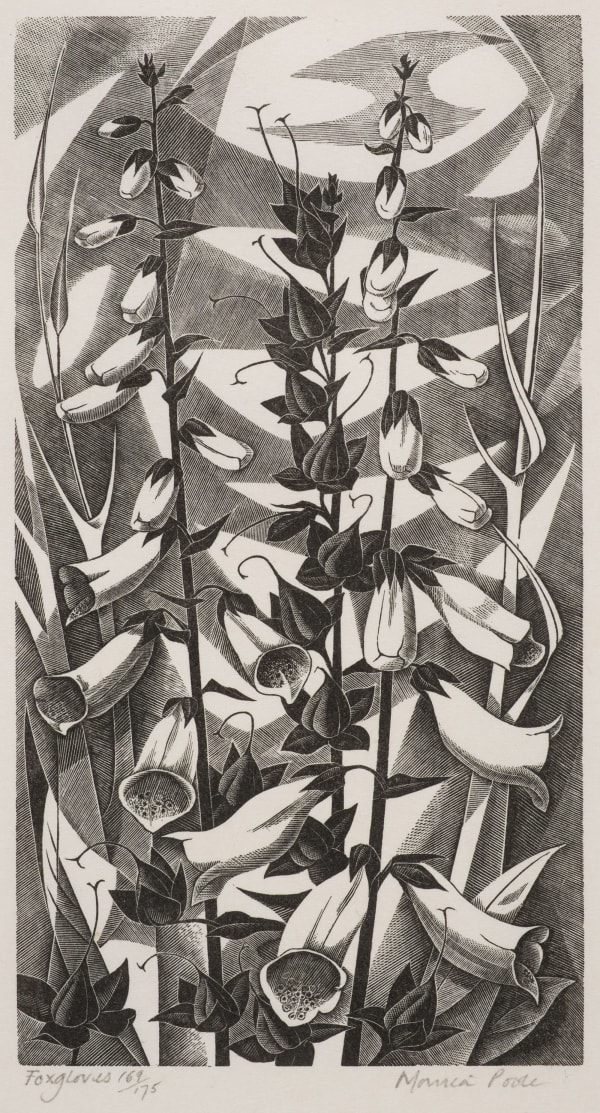 Monica Poole, Foxgloves
