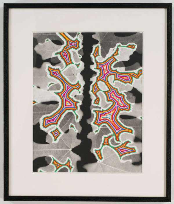 Fred Tomaselli, Bloom #8, 2014