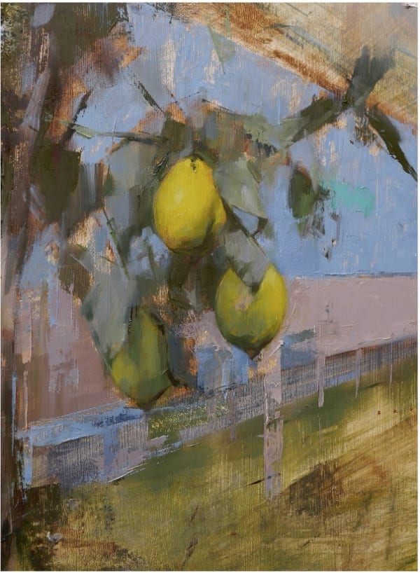 Bran Sivas, Lemon Fence, 2024