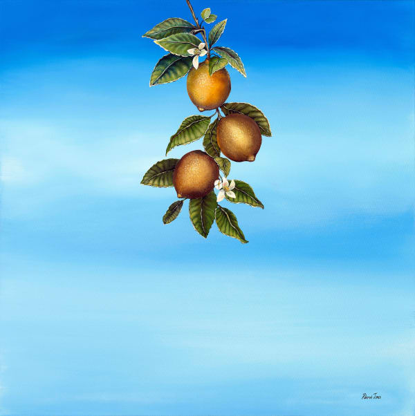 Deborah Jones, O Limoeiro (The Lemon Tree) , 2025