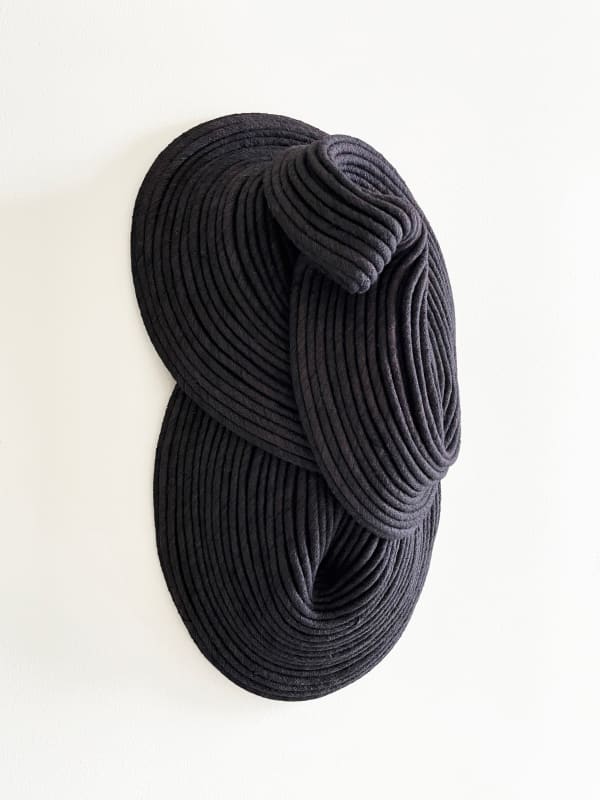 Sini Villi, Char, 2025