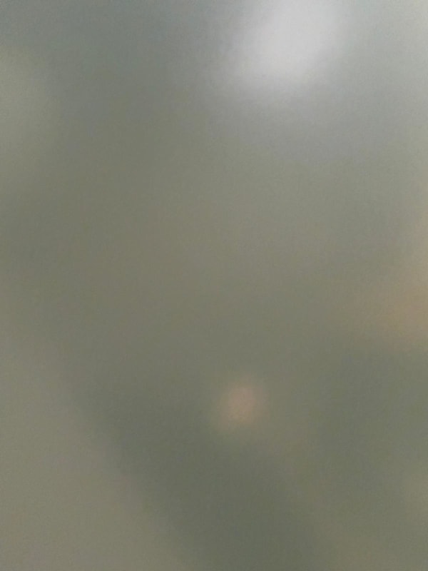 Astrid Van den Bosch, Telt niet