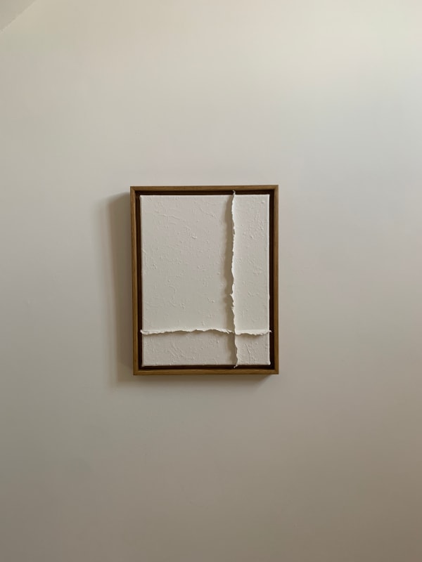 Sophie De Zutter, Aureae lineae 03, 2025