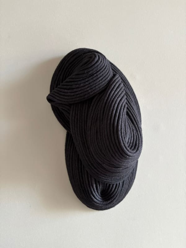 Sini Villi, Char II, 2025