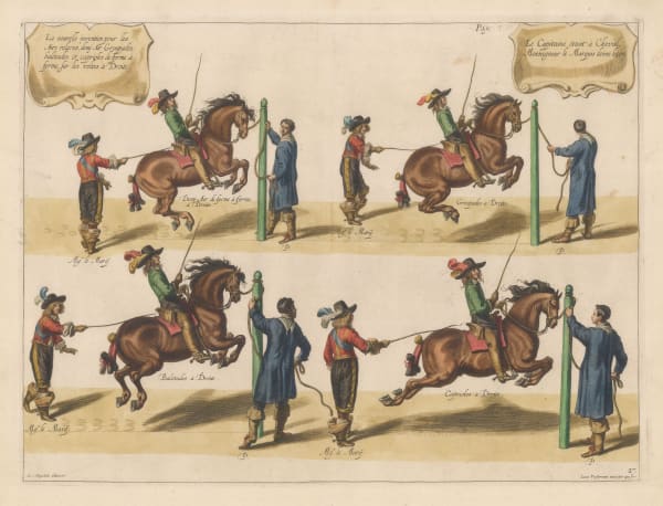 William Cavendish (Duke of Newcastle), Horses - Dressage, 1743