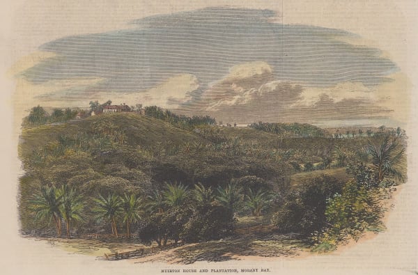 Illustrated London News (ILN), Jamaica - Morant Bay, Muirton Plantation, 1865