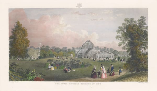 Henry Adlard, London - Kew Gardens, 1875 c.