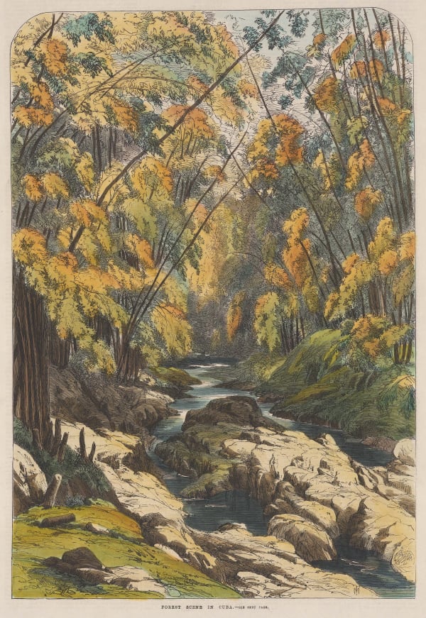 Illustrated London News (ILN), Cuba - Havana, 1869