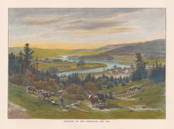 Picturesque Canada, New Brunswick - Nashwaak and Tay River junction, 1867