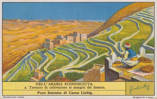 Liebig's Extract, Yemen - Arabian Desert, 1920 c.