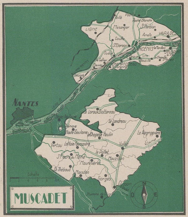 Walter Crotch, Muscadet, 1947