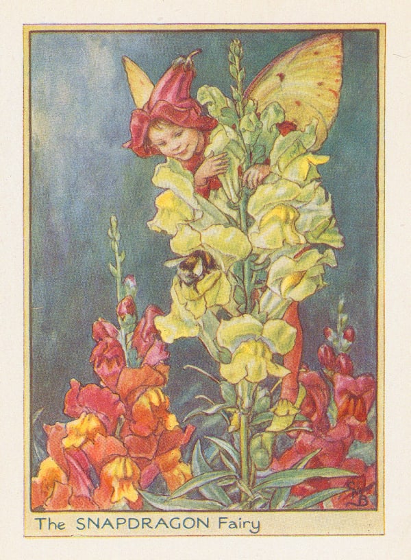 Cicely Mary Barker, Fairies - Snapdragon Fairy, 1944