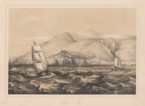 Capt. James Anderson, Madeira - Funchal, 1859