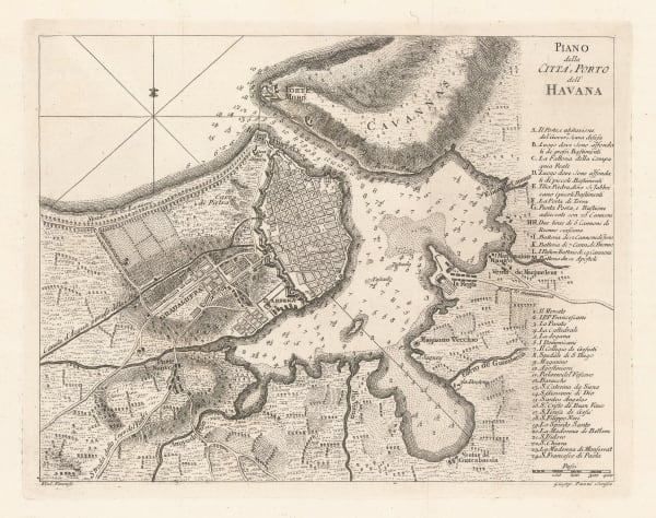 Violante Vanni, Havana, 1763