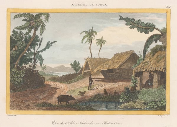Louis Domeny de Rienzi, Tonga - Rotterdam Island (Nomuka), 1837