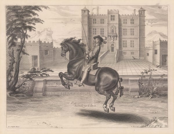 William Cavendish (Duke of Newcastle), Horses - Dressage, 1743