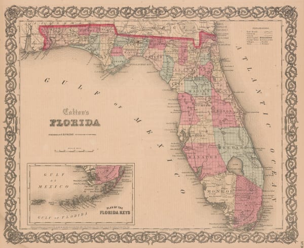 Joseph Hutchins Colton, Florida, 1861
