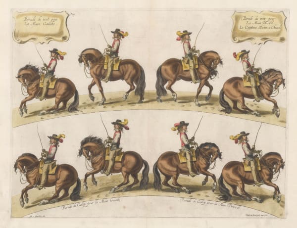 William Cavendish (Duke of Newcastle), Horses - Dressage, 1743