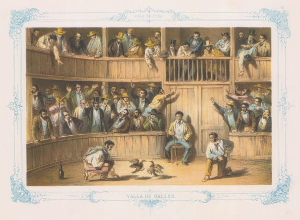 Frédéric (Federico) Mialhe, Cuba - Valla de Gallos (Cock fighting), 1855