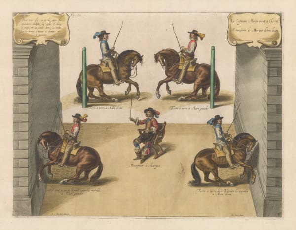 William Cavendish (Duke of Newcastle), Horses - Dressage, 1743