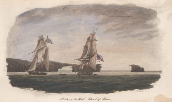 Joyce Gold, Bahamas - Great Abaco, 1803