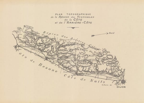 Camille Rodier, Wine map of Cote de Beaune and Cote de Nuits, Burgundy, 1937