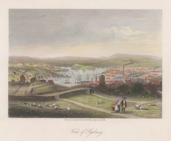 W. H. Wilson, Australia - Sydney Harbour, 1860 c.