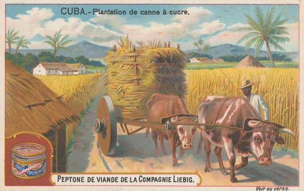 Liebig's Extract, Cuba - Sugar, 1899