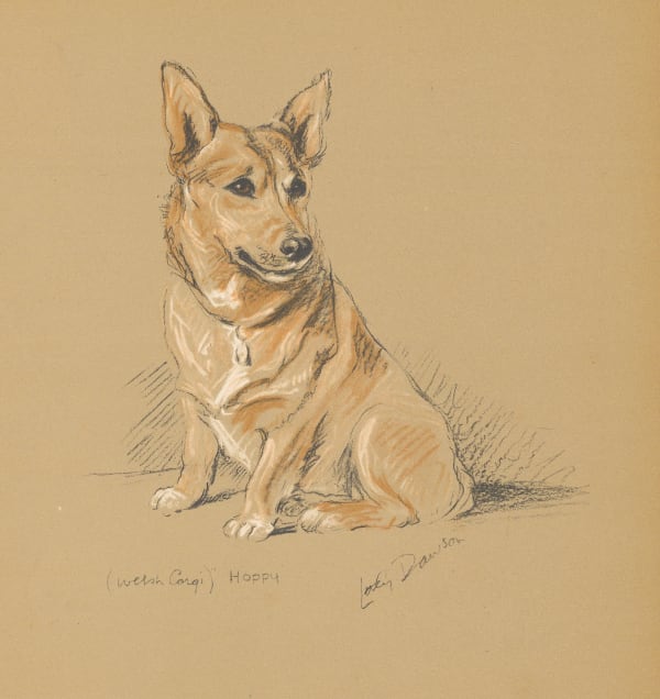 Lucy Dawson, Dog - Welsh corgi, 1937