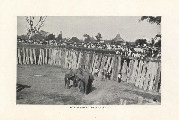 V.C. O'Conner, Burma - Mandalay , 1907