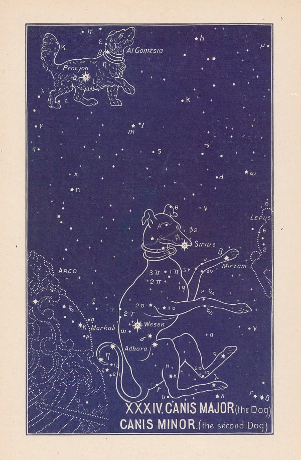 Ethelbert William Bullinger, XXXIV. Canis Major and Canis Minor (The Dogs), 1921