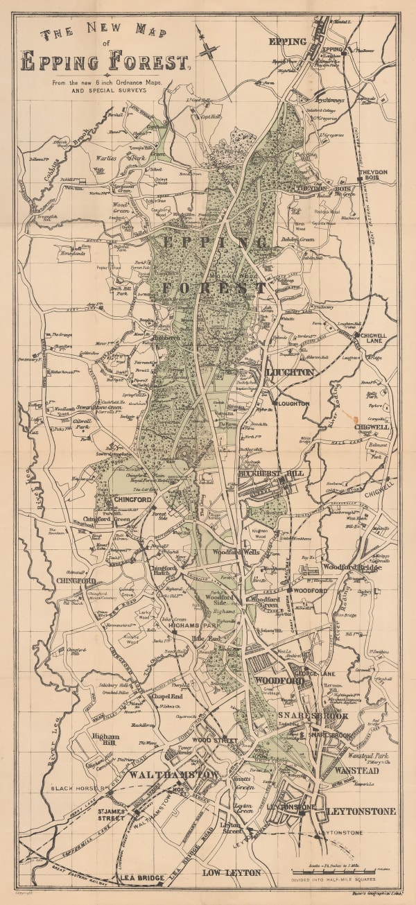 George W. Bacon, Epping Forest, 1920 c.