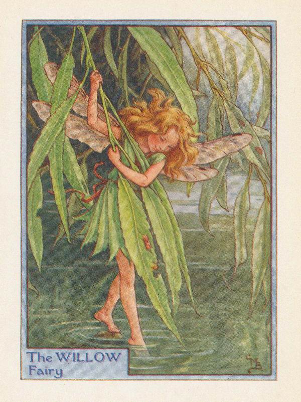 Cicely Mary Barker, Fairies - Willow Fairy, 1940