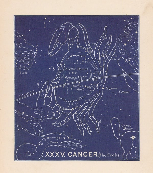Ethelbert William Bullinger, XXXV. Cancer (The Crab), 1921