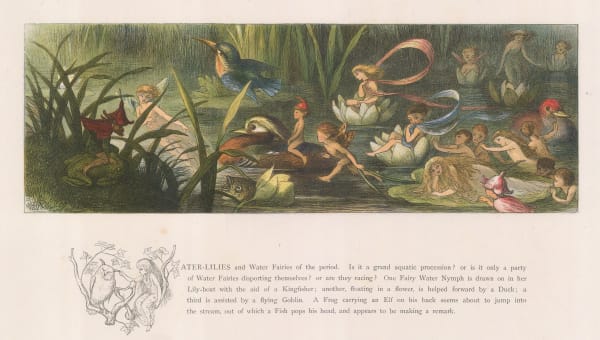 Richard Doyle, Fairy tales - Waterlilies and Water Fairies, 1870