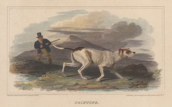 William Henry Scott, Shooting - Gun and working dog, 1818