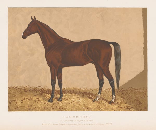 William Tweedie, Horses - Lanercost, 1894