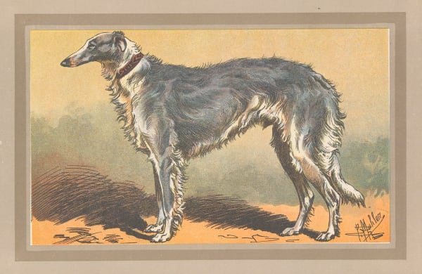 Paul Mahler, Dog - Borzoi, 1907