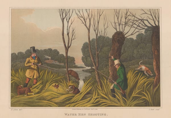 Henry Thomas Alken, Shooting - Water Hen Shooting, 1903
