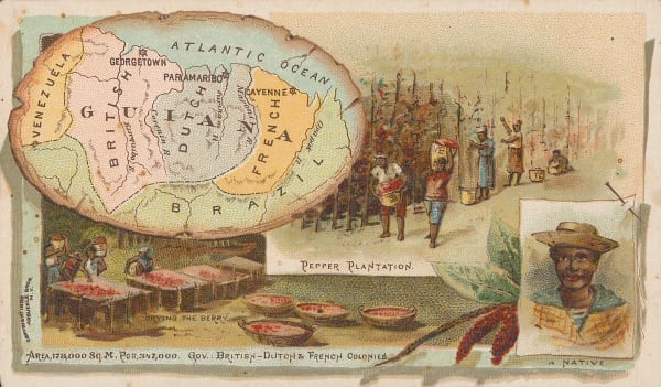 Arbuckle Brothers Company, Guyana, Suriname & French Guiana, 1890 c.
