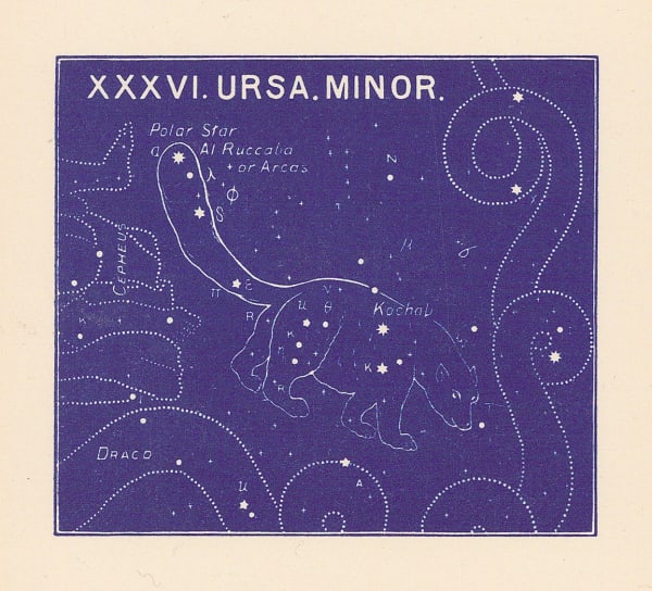 Ethelbert William Bullinger, XXXVI. Ursa Minor, 1895